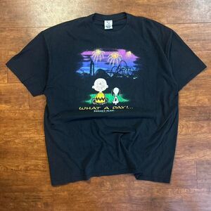 Black Peanuts Snoopy Charlie Brown What a Day t-shirt